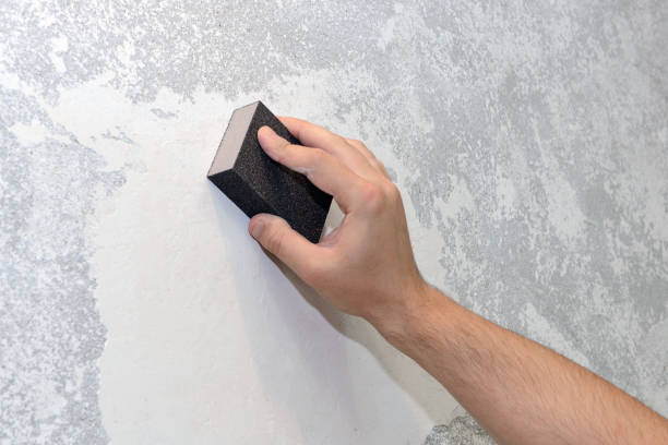 Best Mold-Related Health Consultation  in Sequim, WA