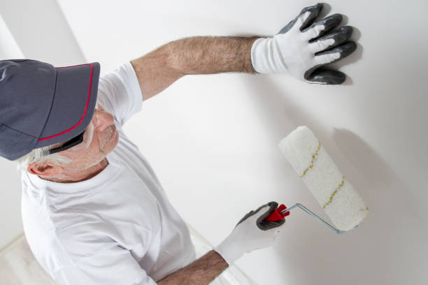 Trusted Sequim, WA Mold Removal Experts