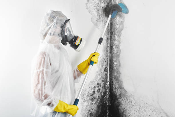 Best Post-Remediation Verification Testing  in Sequim, WA