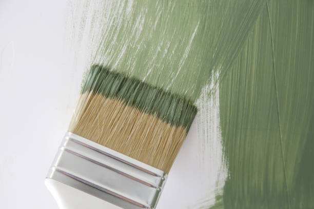 Best Black Mold Removal  in Sequim, WA