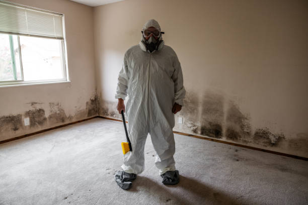 Best Mold Prevention Services  in Sequim, WA